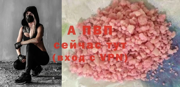 ПСИЛОЦИБИНОВЫЕ ГРИБЫ Пестово